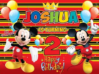 

custom cartoon minnie mouse photo background photography backdrops quality vinyl