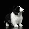 Border Collie 25cm