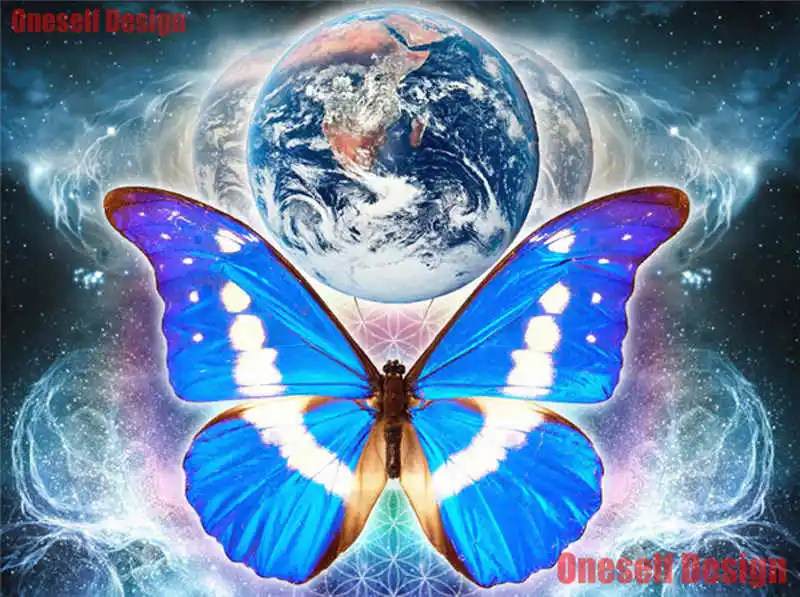 popular 5d diamond painting full square/round butterfly 5d diamond embroidery sale animal picture of rhinestones decoration home - Цвет: aa0172