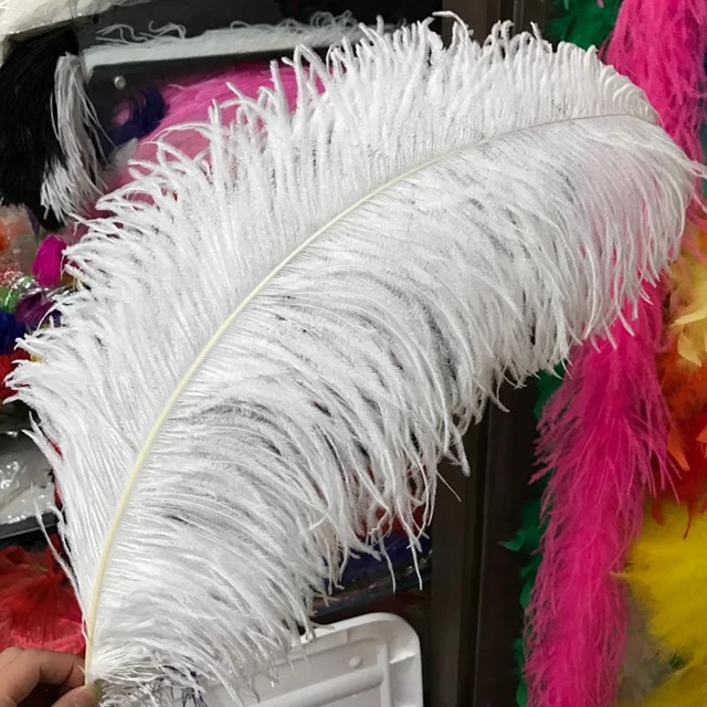 Big Pole Ostrich Feather Pink Feathers 10 Pcs 60-65 Cm/24-26 Inches Natural  Feather For Wedding Decorations - Feather - AliExpress