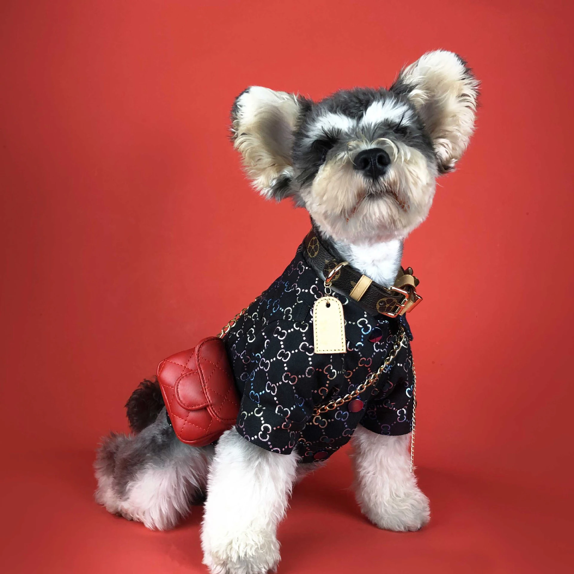 astounding  1 High Cool Dog Clothes Denim Jacket Outfit Coat Small Dogs Pets Sweater Coat Yorkshire Bulldog Poo