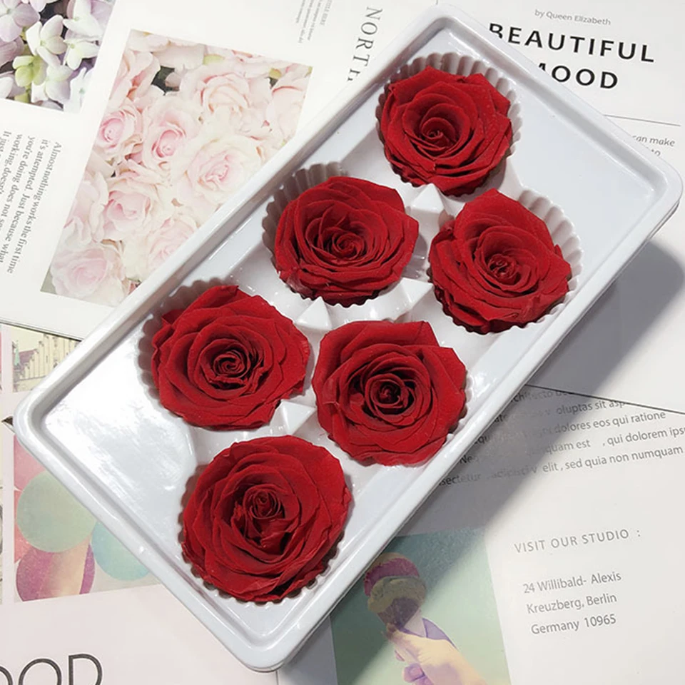 rose (20)