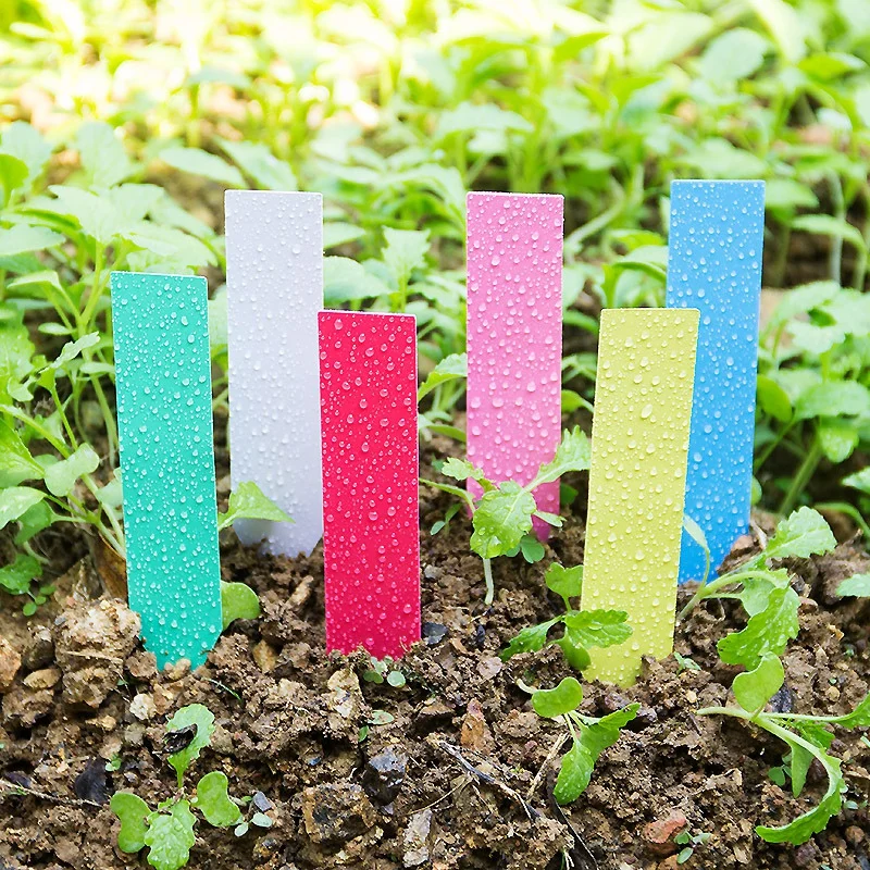 

100Pcs Plastic Stake -type Plant Markers kindergarten plants Labels flower pot thick tag marker for plants garden