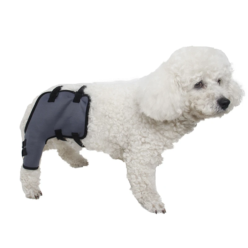 Hip dog clothes Clearance