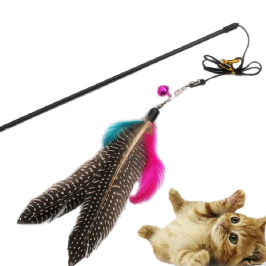 Precio Especial Caña para gatos con plumas para mascotas, juguete interactivo divertido con plumas para gatos, 1 unidad KJnrpXdAW