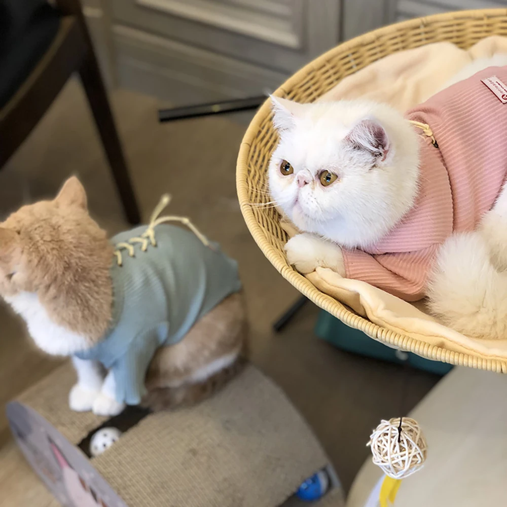 Pet Cat Clothes Four Seasons Clothing Anti Hair Loss Cotton Home