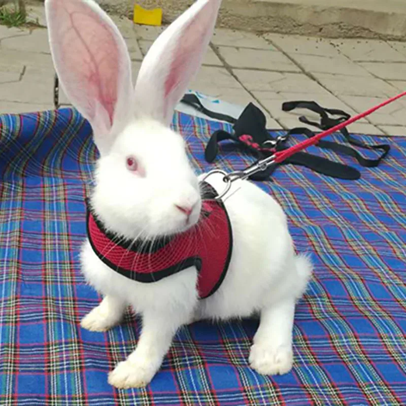 

Rabbits Hamster Vest With Leas Bunny Mesh Chest Strap Harnesses Ferret Guinea Pig Small Animals Pet Accessories S/M/L 4