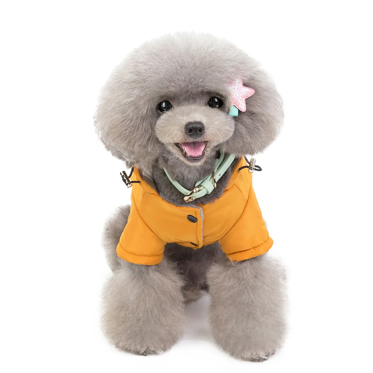 undefined