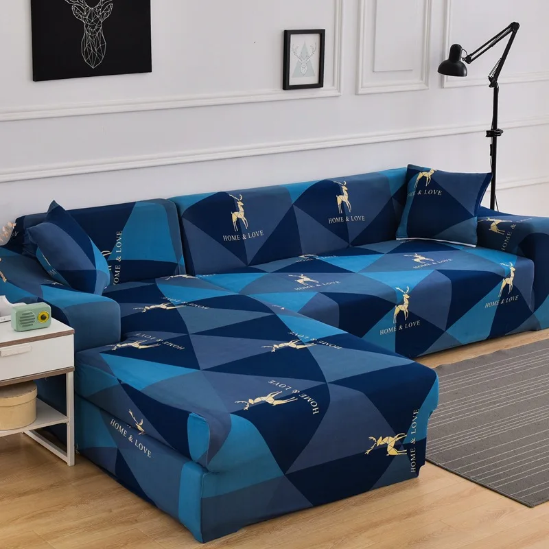 12443482791_804787122