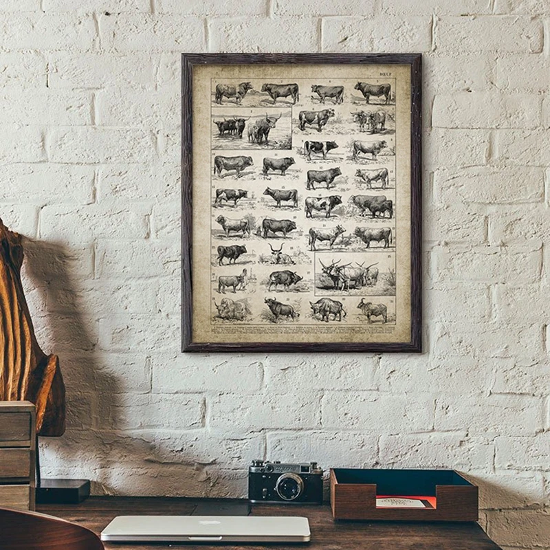 Antique Bull Breeds Print