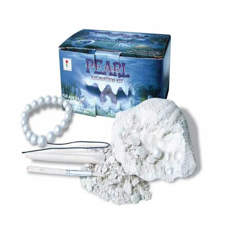 

DIY Archeology Mining Toys, Children Archeology Toy, Archeology Unearthed Pearl Mussel 10 PCS