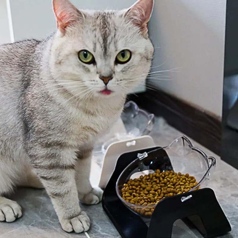 1 шт. 15 градусов регулируемая питательная миска для домашних животных миска для кормления собак и кошек косой рот ПЭТ прозрачная кормушка для собак посуда C42