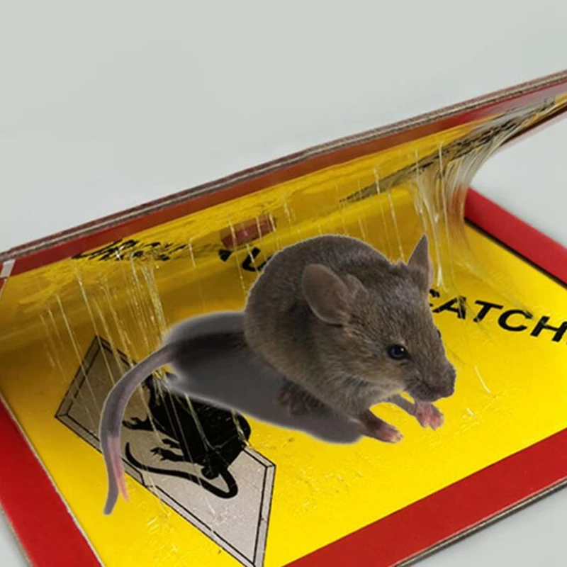 Mouse Board Sticky Mouse Glue Trap High Efficace Roditore Ratto Serpente Bugs Catcher Controllo Dei Parassiti Rifiuta Non Tossico Ecologico