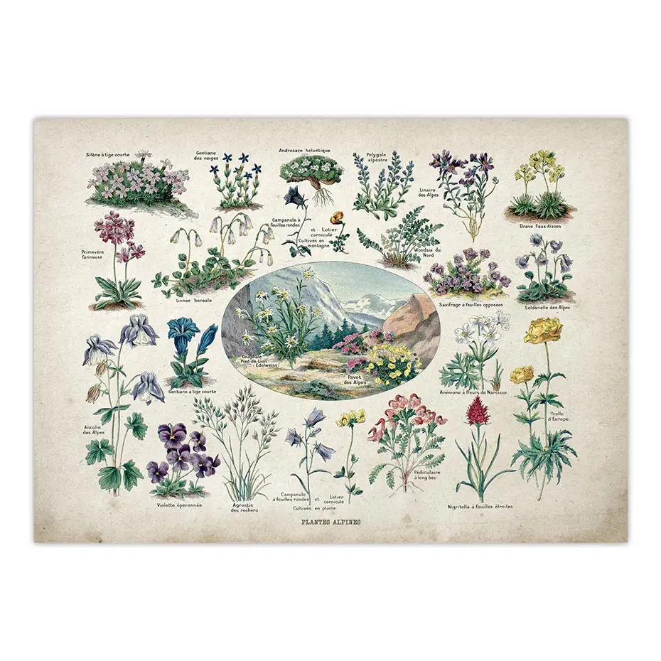 Hdb29bf8d1d8348d5bdfabacb2ac49b73M