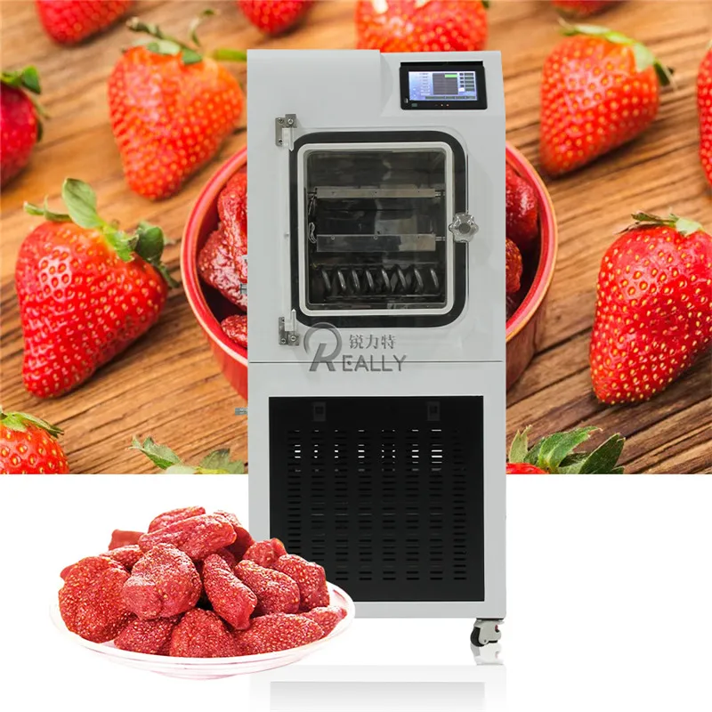 Door To Door Freeze Dryer Price Industrial Mini Home Laboratory Vacuum Food  Lyophilizer Machine Small Fruits Dehydrator Dryer - AliExpress