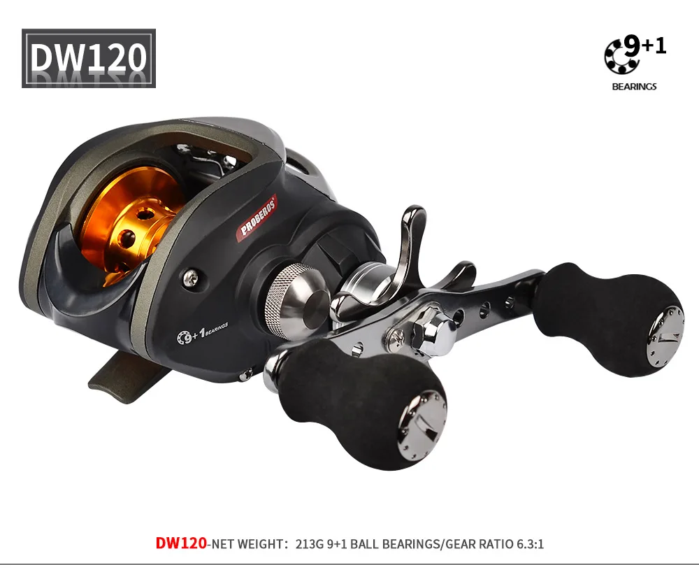 DW120_10