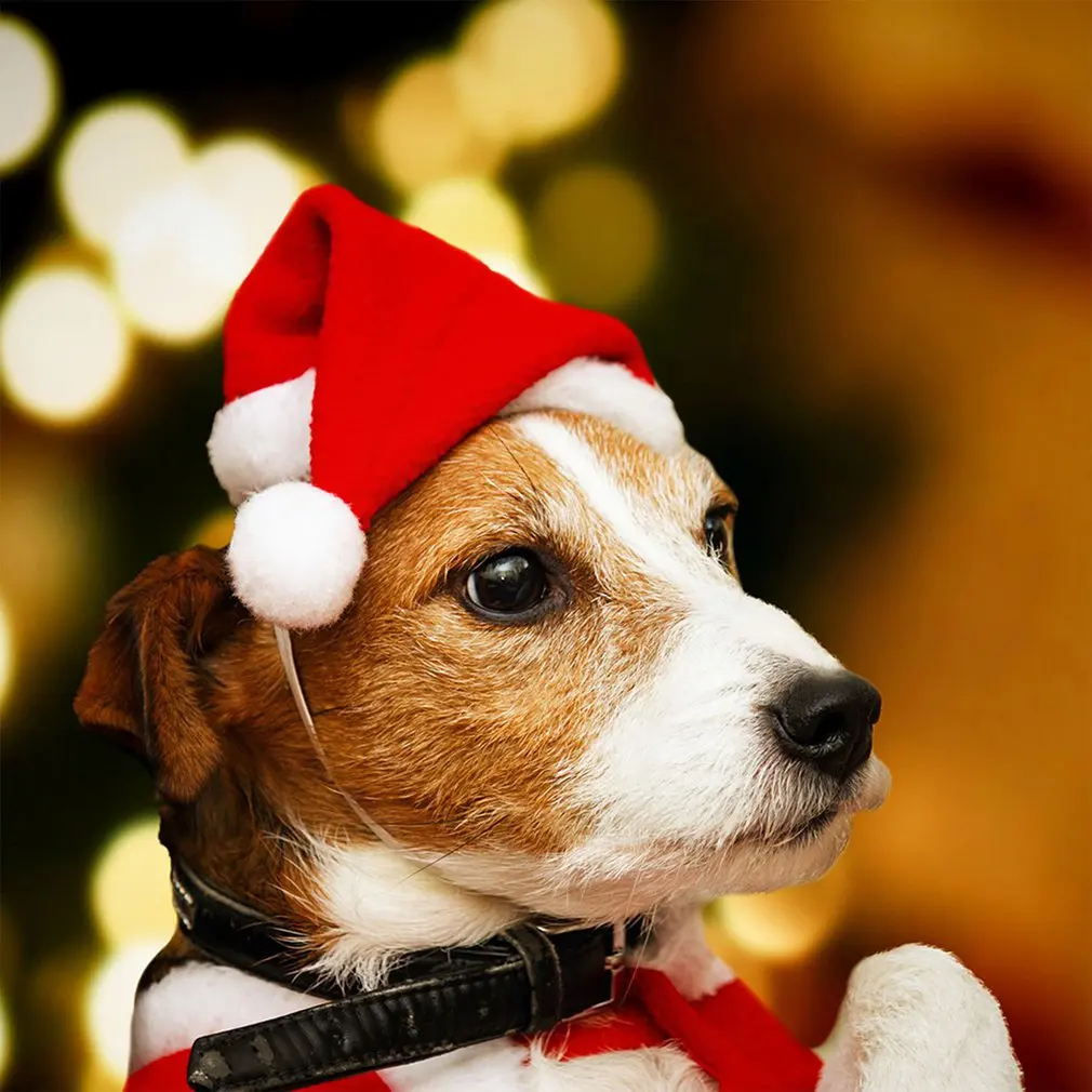 Собака праздник Рождество шляпа щенок собака Санта костюм с головным убором Новогодняя Коллекция Аксессуары для домашних животных для кошки Кролик Хомяк морская свинка