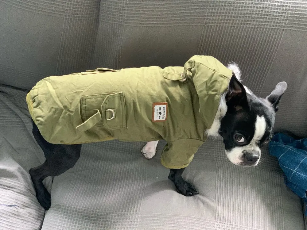 U8a55ad04066d4277b13c462cee4c56e4m