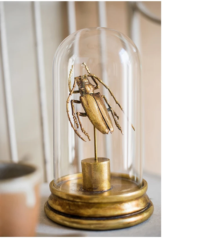 Home Decoration Metallic Beetle Specimen Golden Statue With Glass Cover Ornament Gift Desktop Decor Alternative Art Punk Roc