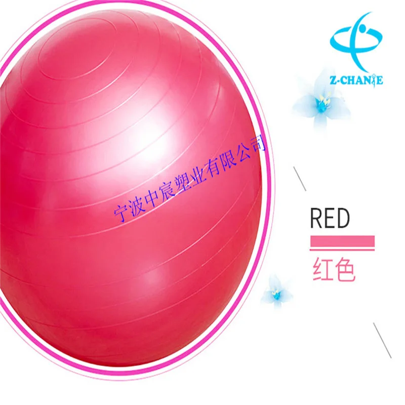 Dance Gymnastic Ball Multi-functional Training Yoga Pilates Sport Ball Fitness Men And Women PVC Explosion-proof Ball