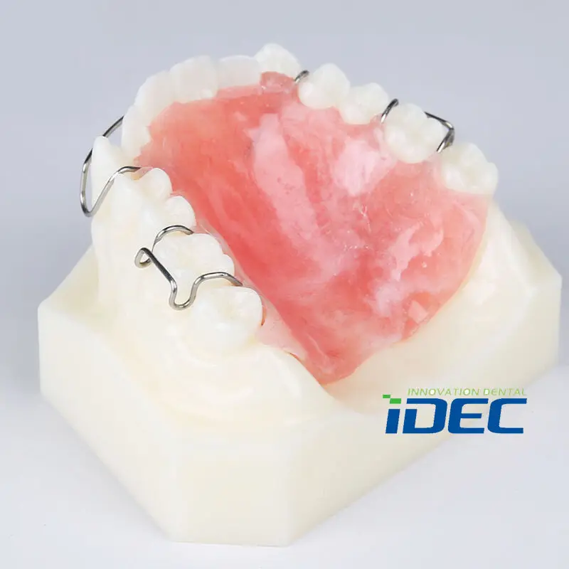 

Dental Model Top teeth REMOVABLE Hawley Retainer Model Orthodontic Model 1PC
