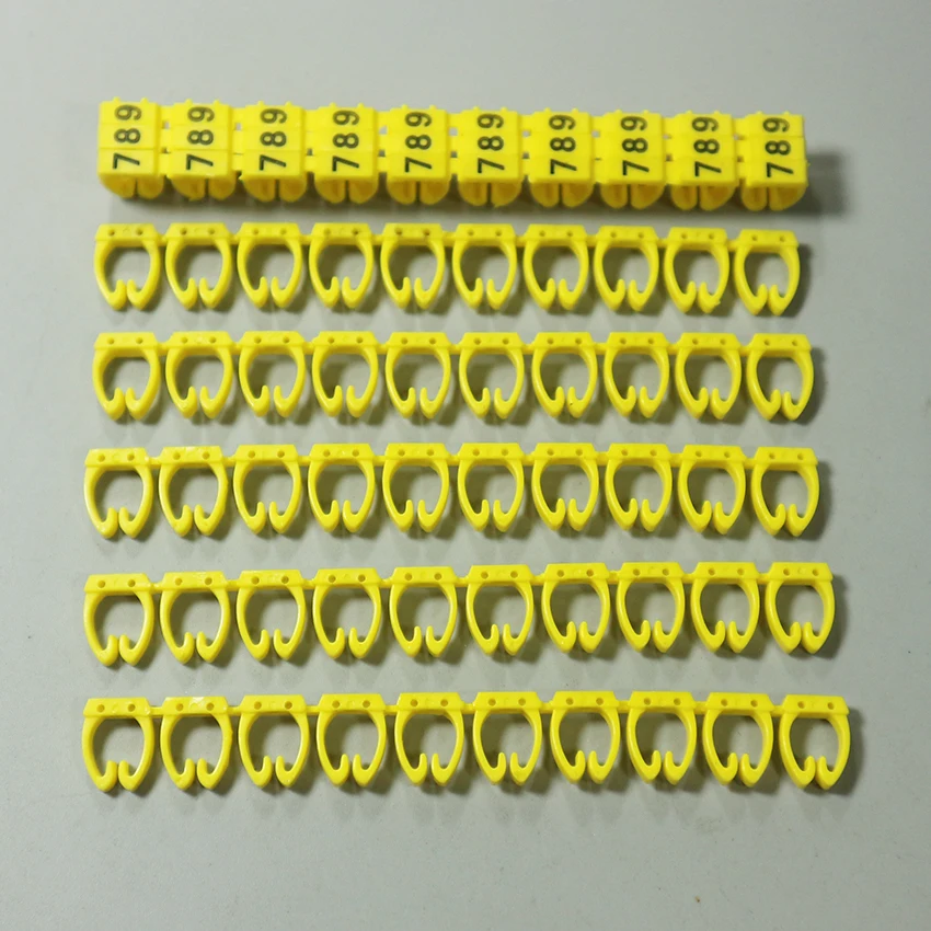 IMG_1572