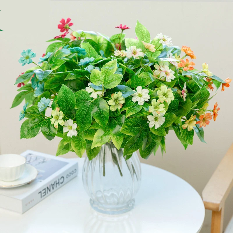 19+ Bonsai Jasmine Plant Indoor Images