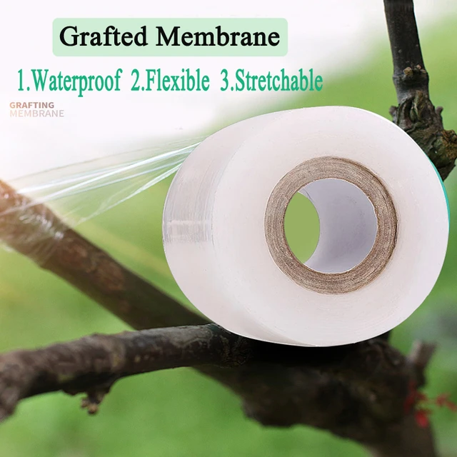 2CM x 100M / 1 Roll Grafting Tape Garden Tools Fruit Trees