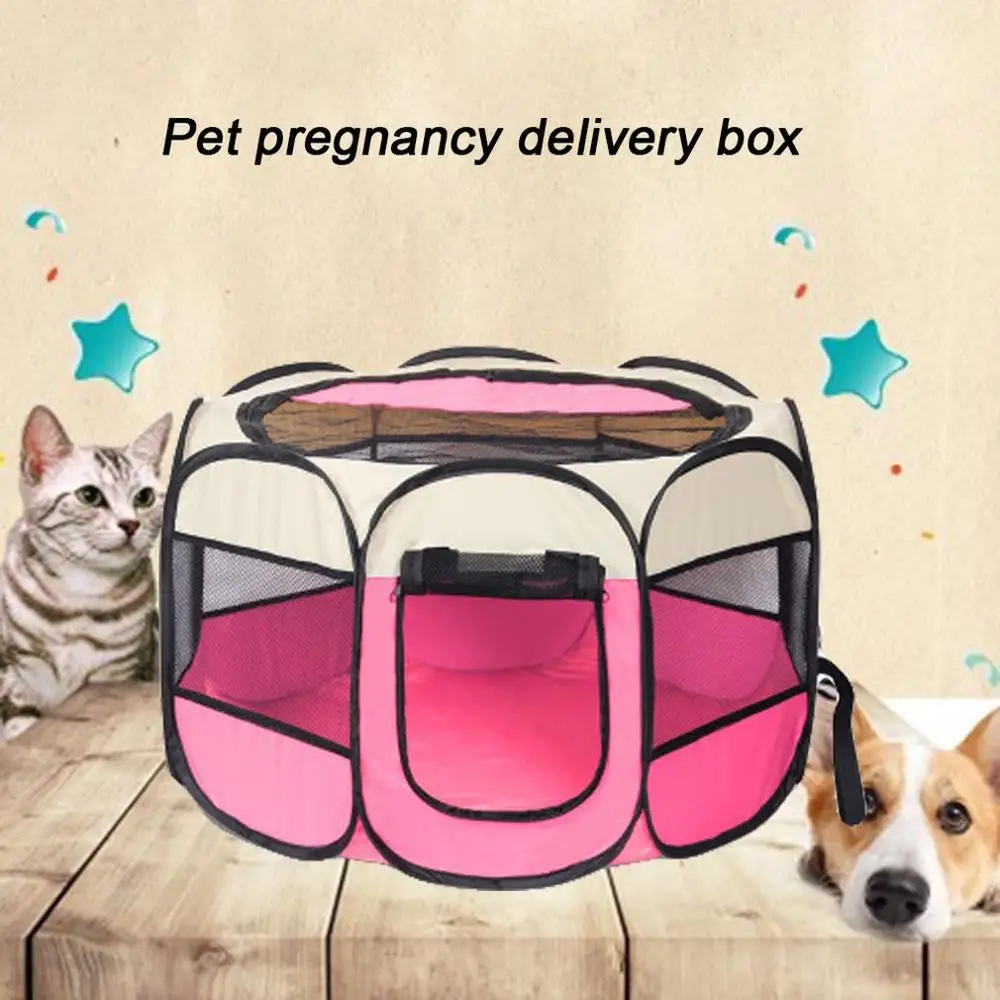 pregnant and litter box hiccups pregnancy