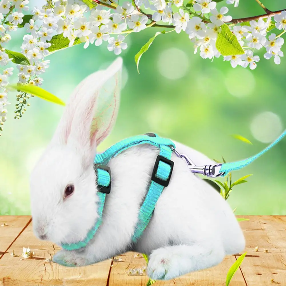 

Adjustable Soft Polyester Small Pet Rabbit All Body Harness Leash Guinea Pig Lead Rope