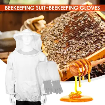 

3 Layers Bee Cage Bees Wild Recruit Beekeeping Tools Wild Bee Catching Box Beekeeping Equipment Garden Supplies Beekeeping Tools