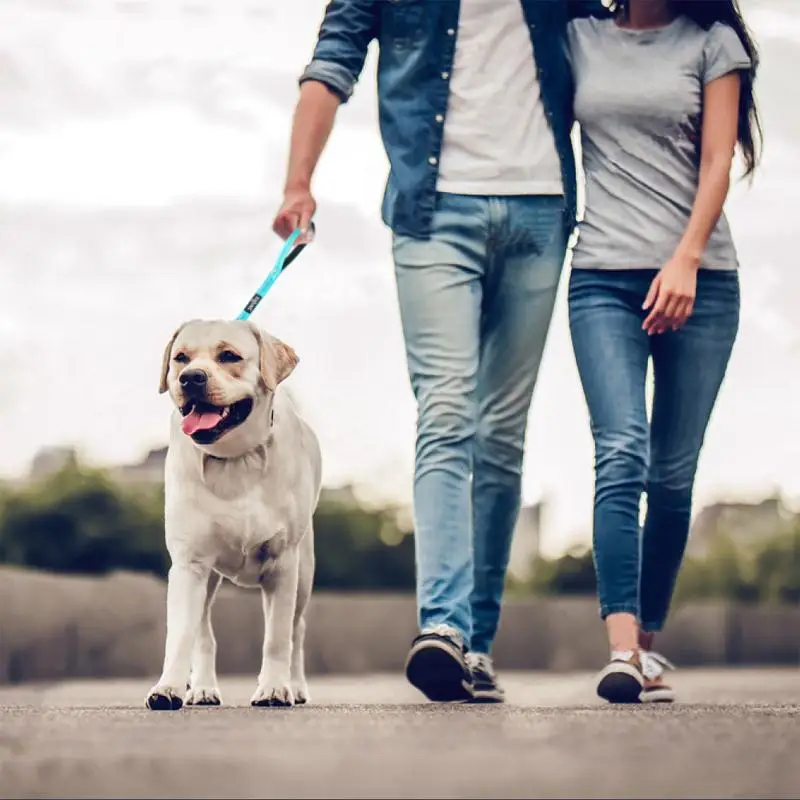 

High Quality Pet Training Leash Short Dog Nylon Leash Heavy Duty Locking Snap Night Reflective Strip Leash Rope Leading