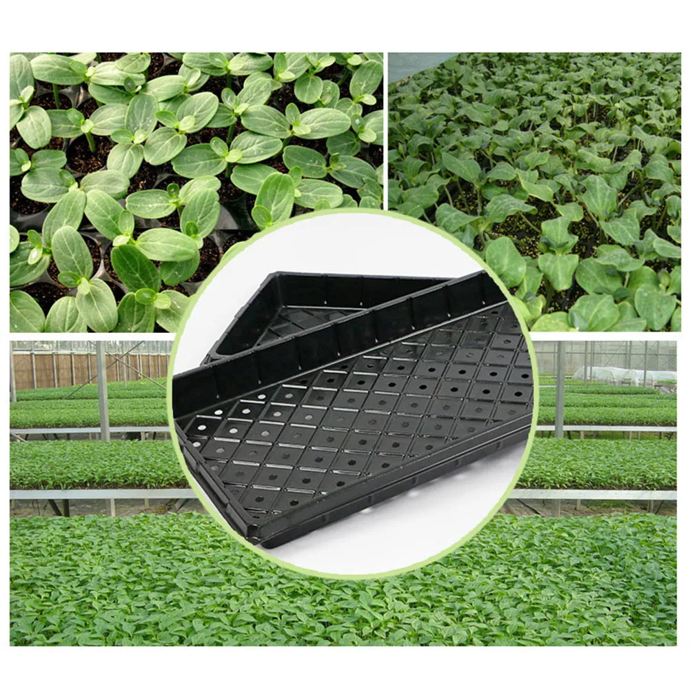2PCS Plant Growing Trays Garden Seed Nursery Trays Plastic Propagation Trays Plant Flower Pots Nursery Grow Box 2PCS Plant Growing Trays Garden Seed Nursery Trays Plastic Propagation Trays Plant Flower Pots Nursery Grow Box