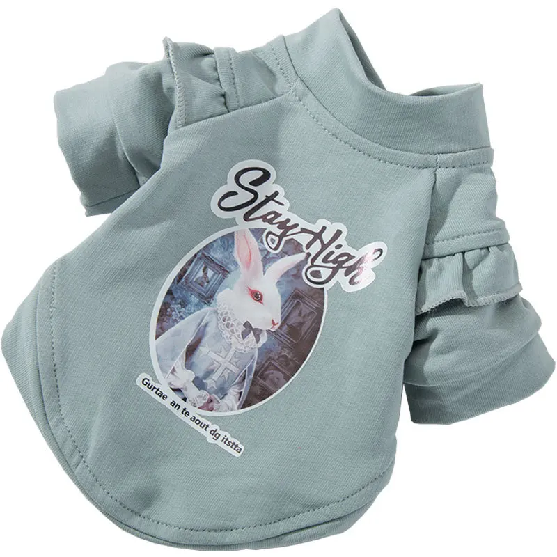 Spring and Autumn Leisure Styles Pet Dog Clothing Fashion Can Be Comfortable Breathable The Two Feet Garments Small Dog Clothing