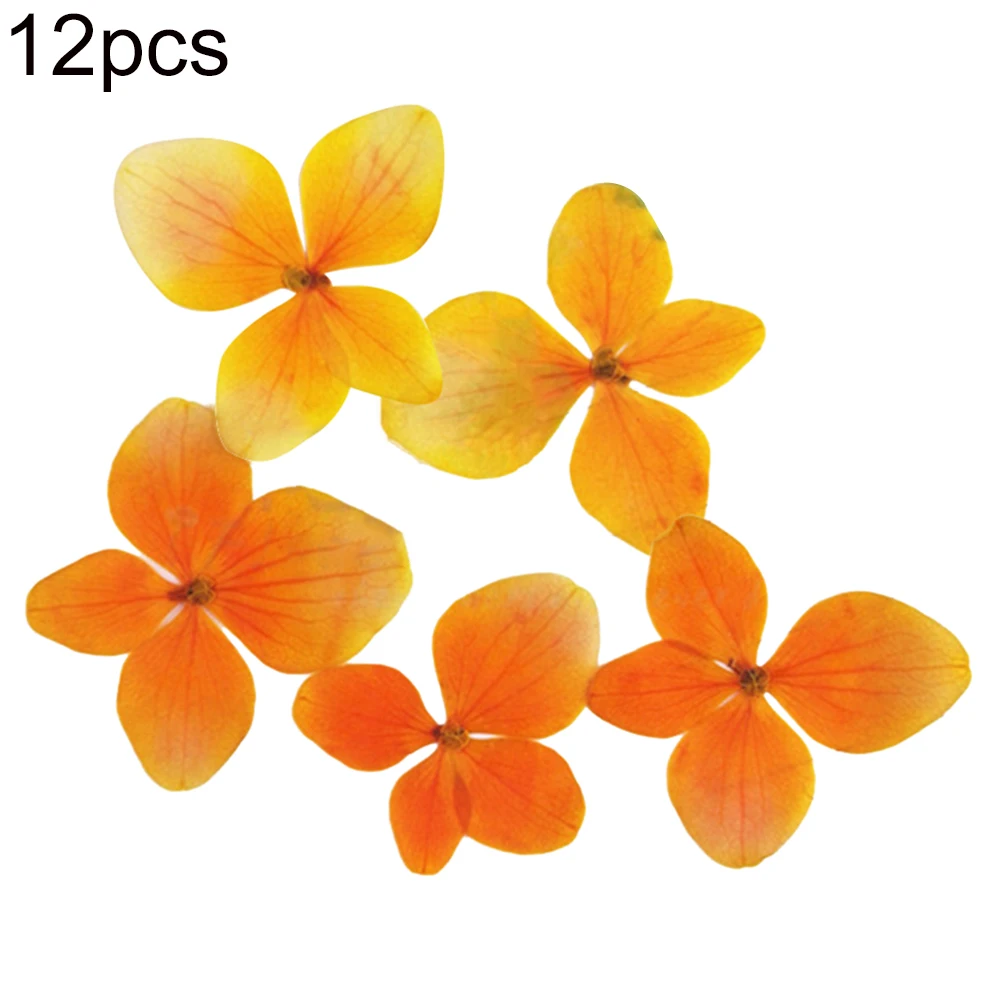 12Pcs Natural Pressed Decorative Dried Flowers Dried Flower Petals Artificial Flowers DIY Phone Case Party Wedding Decoration