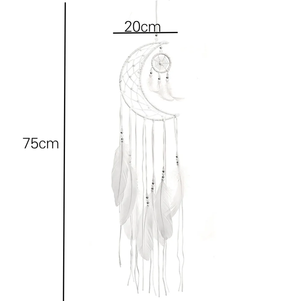 ED0205800-other