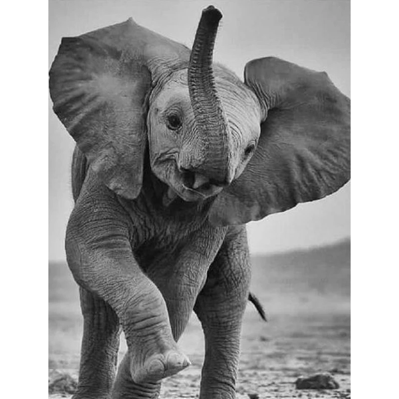 

Diamond-Painting Elephant Diamond Embroidery Animal Diamond Cross Stitch Modern Home Decor Canvas Resin Pictures decor painting