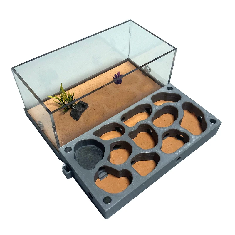 3D Acryl Flat Ant Farm Ecological Ant Nest with Feeding Area Concrete Ant House font b