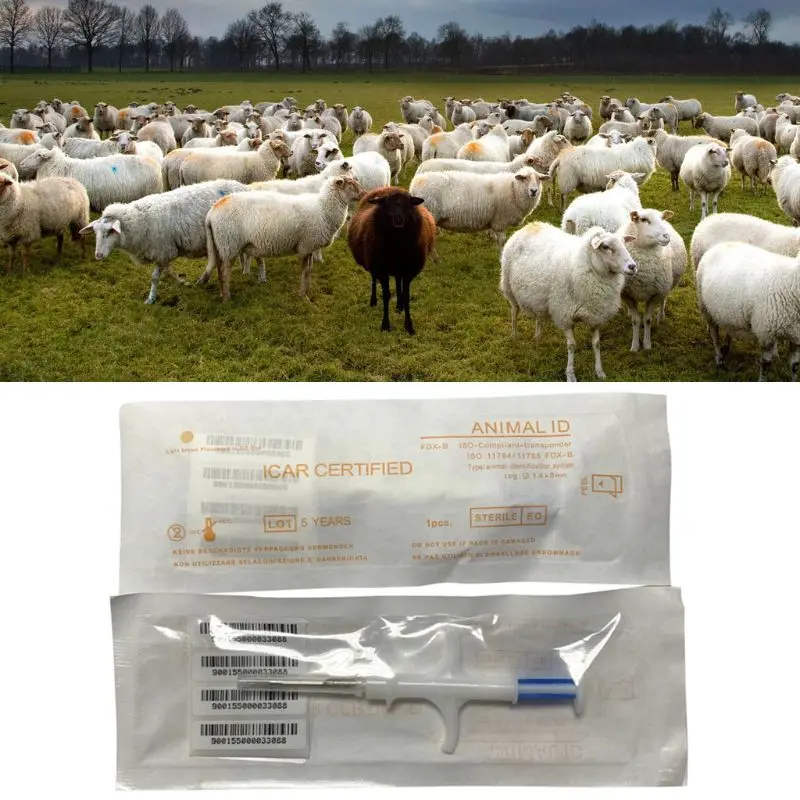 Implantable Bioelectronic Pet Animal Microchip ISO Standard FDX-B Chip cat dog syringe RFID