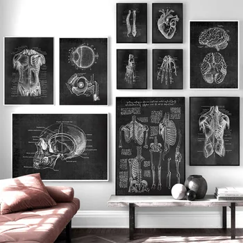 

Muscle Foot Bone Heart Anatomy Skeleton Home Decor Canvas Painting Nordic Pictures Wall Art Prints Modular Poster quadro tableau