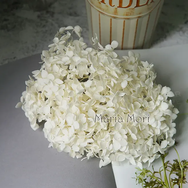 Anna Hydrangea  Flowers  Little  Leaves Preserved Hydrangea Decor  Office Decor  DIY Flowers Color 01