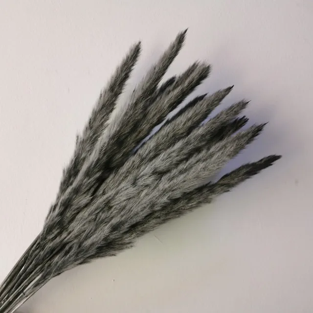 15Pcs Dried Reed Flower Arrangement Natural Pampas Grass For  Modern Home Decoration Party Backdrops Wedding Supplies Dark gray