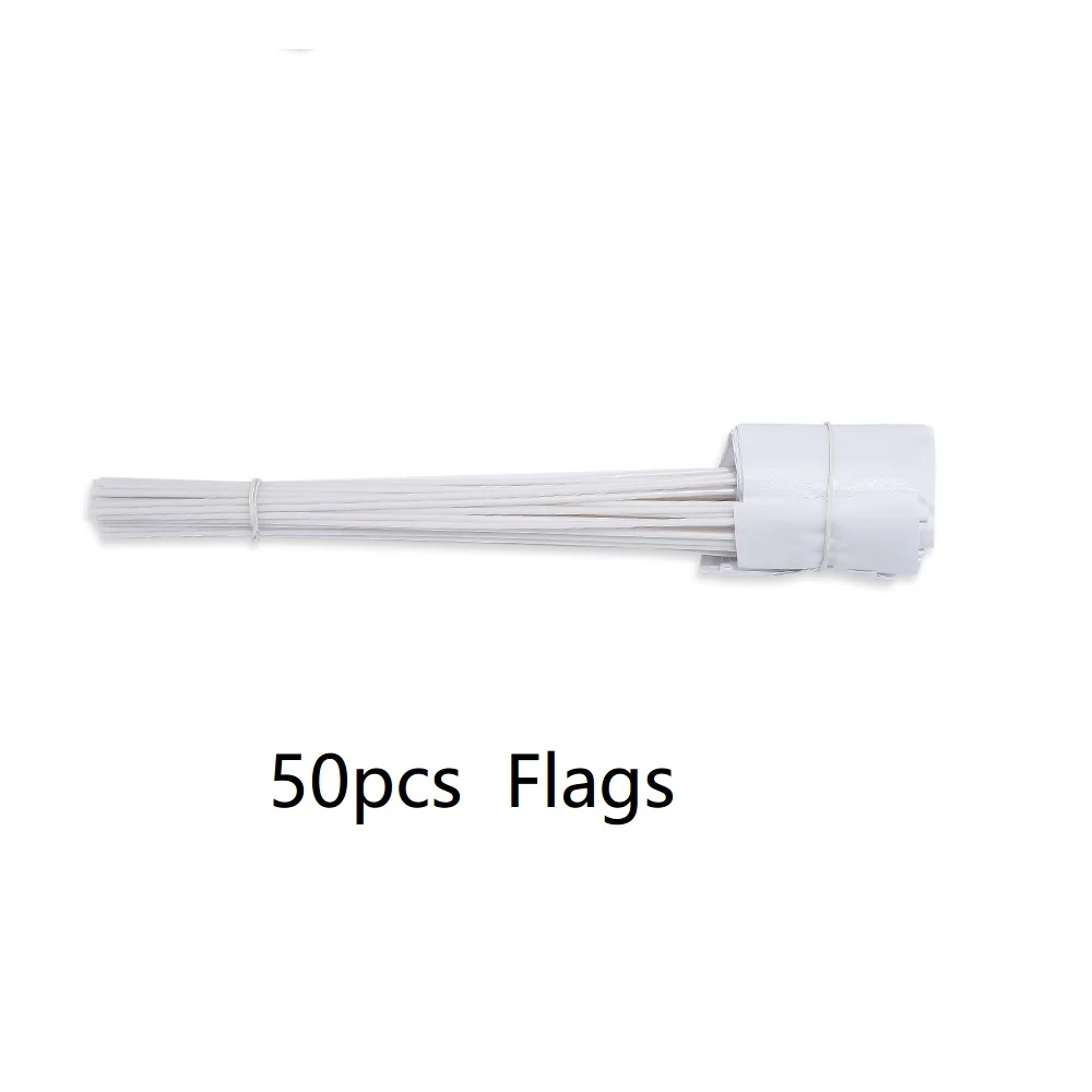 50pcs flags