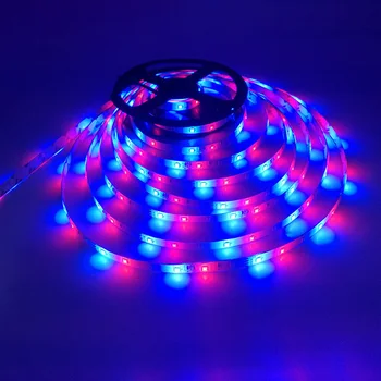 

3528 RGB LED Strip Light Flexible Tape Ribbon 10m SMD DC 12V Lamp Hanging Cage Lampshade Ceiling Light for TV Desktop