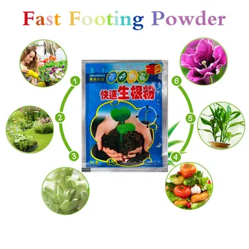 

Bonsai Plant Rapid Growth Rooting Hormone Regulators Plant Flower Seeds Tree Seedling Recovery Vigor Plant Fertilizer Rooting