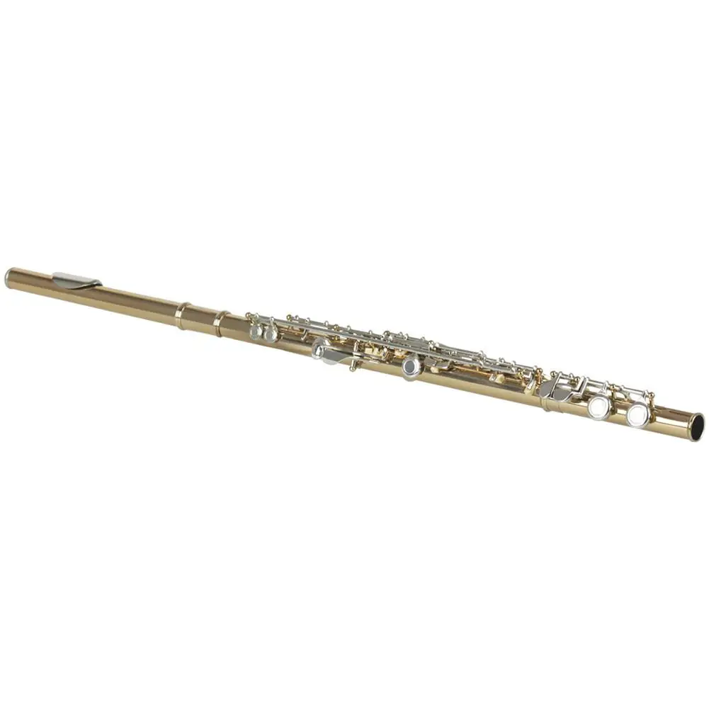 flauta em 16 buraco c com storge