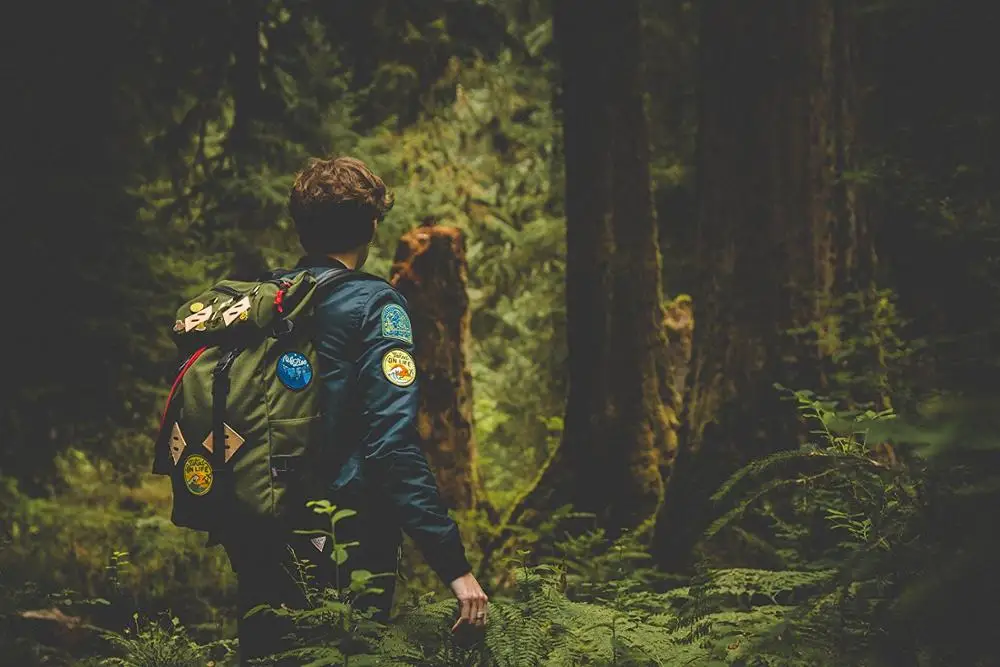 91I7ntB69vL._SL1500_