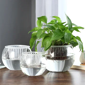 

Hydroponic Plant Round Vase Transparent Glass Bottle Container Water Culture Green Radish Flower Pot Spherical Fish Tank