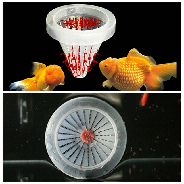 Height 6.7cm Aquarium Basket Feeder Fish Food Live Worm Bloodworm Angel  Cone Feed Tool Dia 6.8cm - AliExpress