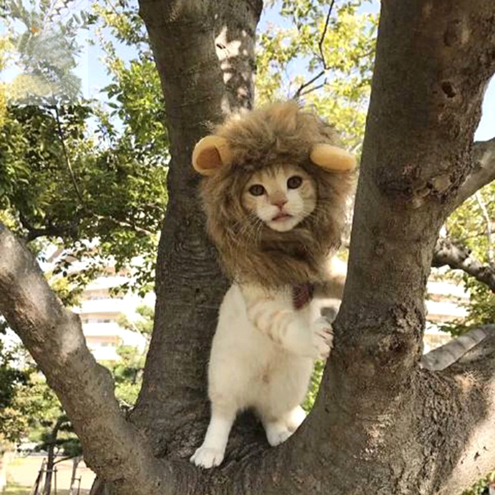 Домашнее животное косплей костюмы на Хэллоуин Косплей вечерние Одежда для собак домашнее животное парик для кота шапочки для щенков Забавный головной убор для питомца Кепка кошачий головной убор